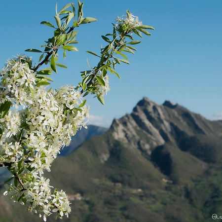 B&B La Bella Vista Albano di Lucania Eksteriør billede
